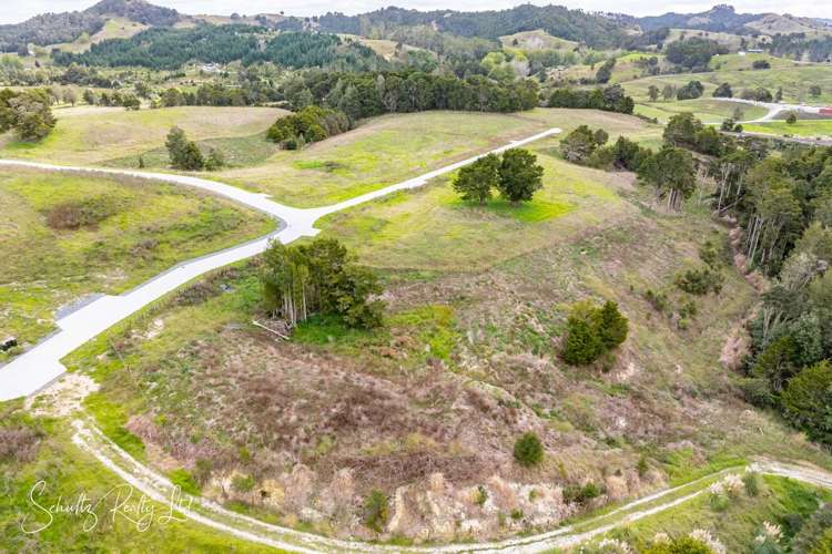 Whakapirau Road Maungaturoto_25