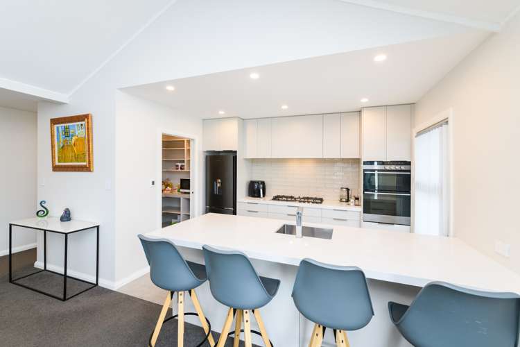 2a Massey Street Palmerston North Central_8