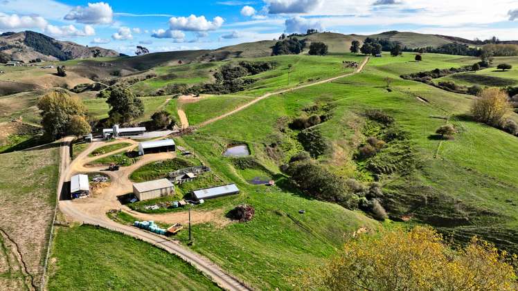 484 Newman Road Wharepuhunga_18