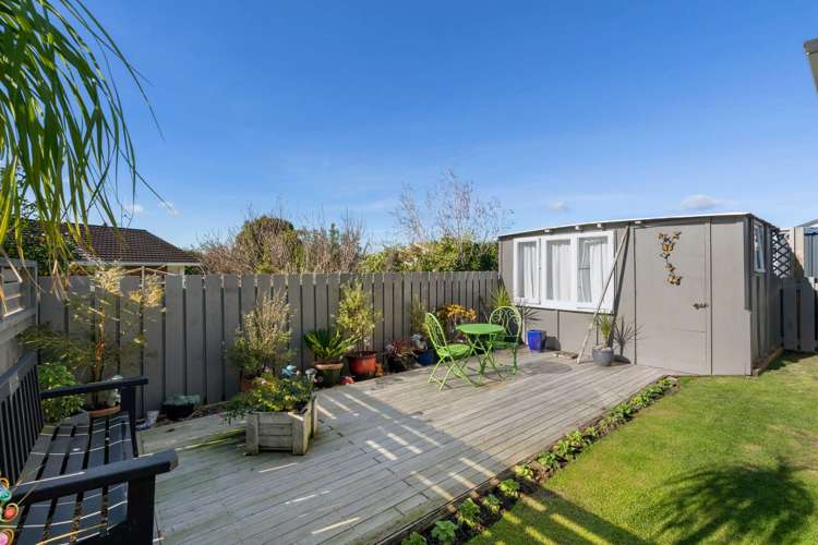 22b Tui Place Katikati_14