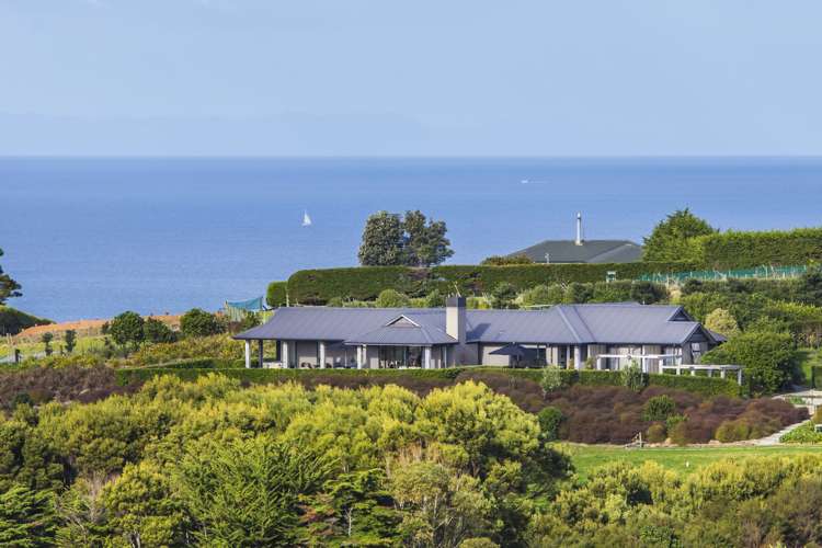 167 Cape Rodney Road Leigh_2