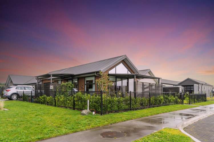 7d Te Rerenga Terrace Cambridge_17