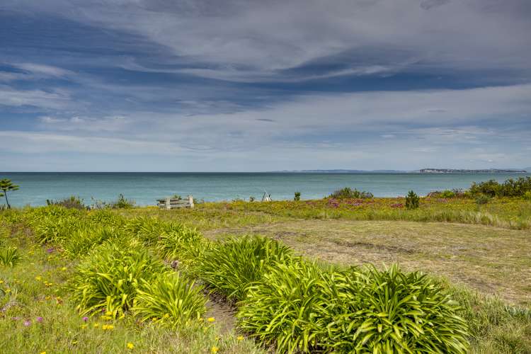 260 Whirinaki Road Eskdale_6