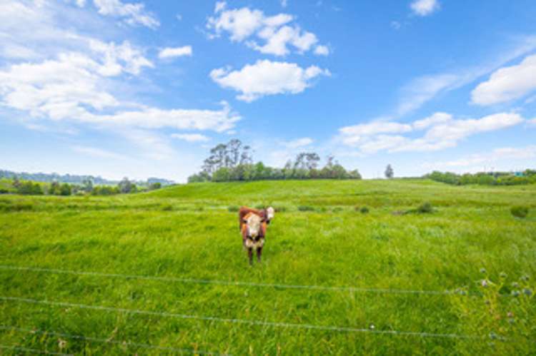 515 Kahikatea Flat Road Pine Valley_5