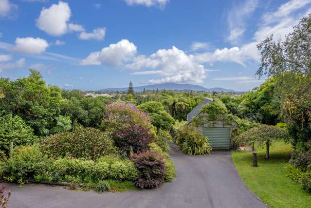 51 Seddon Street Waikanae_3