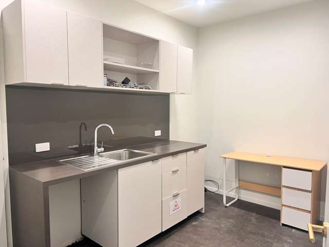 295 Parnell Road Parnell_4