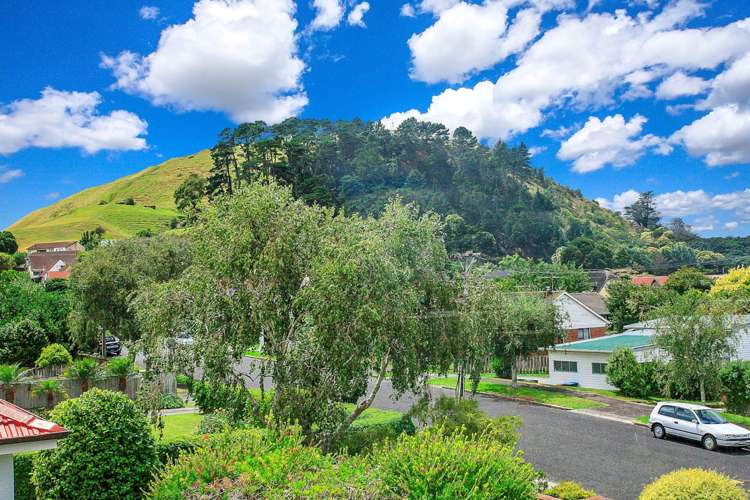 4 Harding Avenue Mount Wellington_17