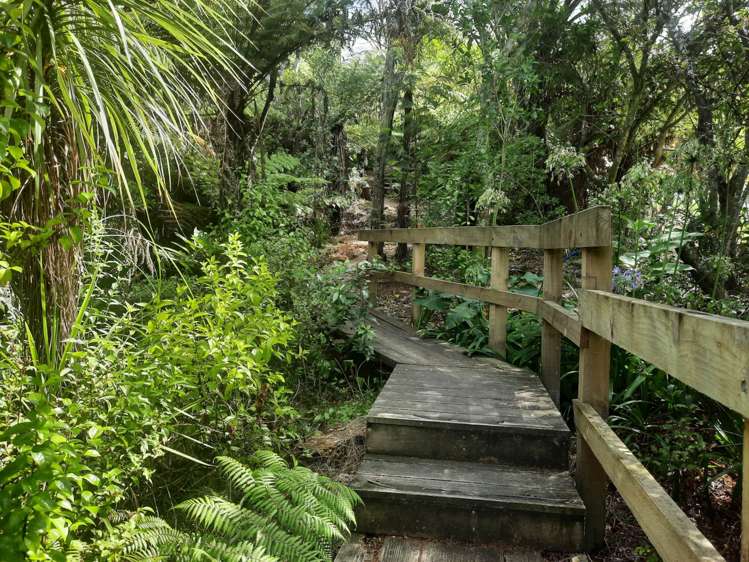 68 Manuka Road Glenfield_17