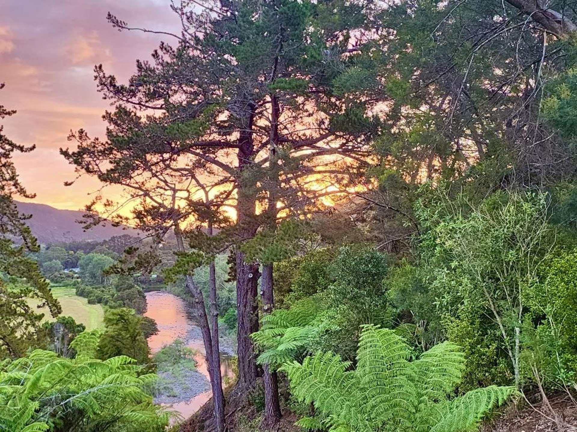 682 Kauaeranga Valley Road Thames_0