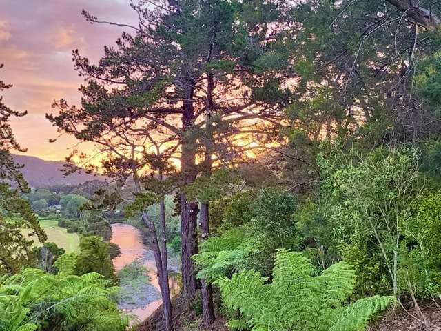 682 Kauaeranga Valley Road Thames_2