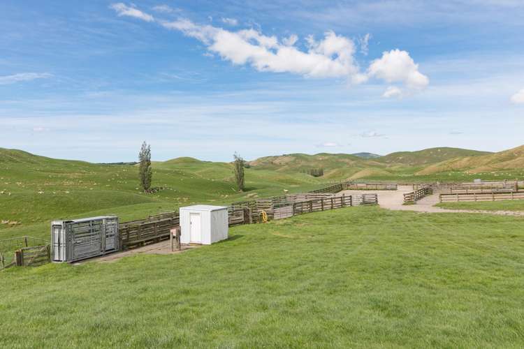 300 Pattison Road Waipukurau_5