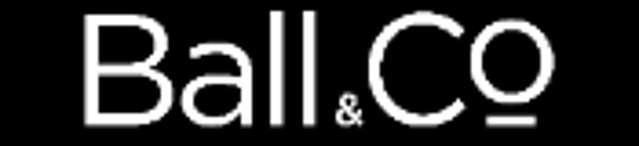 Ball & Co Realty (AndCo Realty 12 Ltd - Licensed REAA 2008)