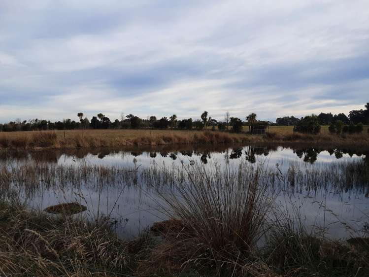 229 Balcairn Amberley Road Amberley_7