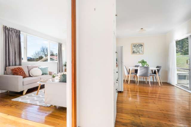 12a Willow Place Horahora_2