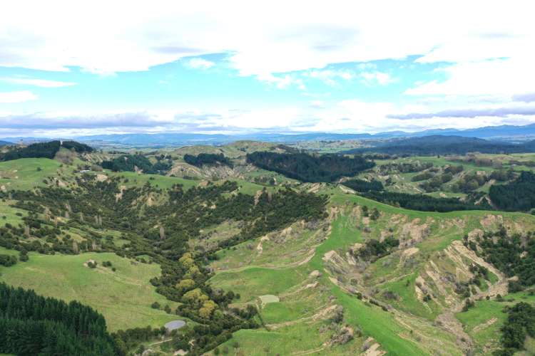 643 Glengarry Road Puketapu_22