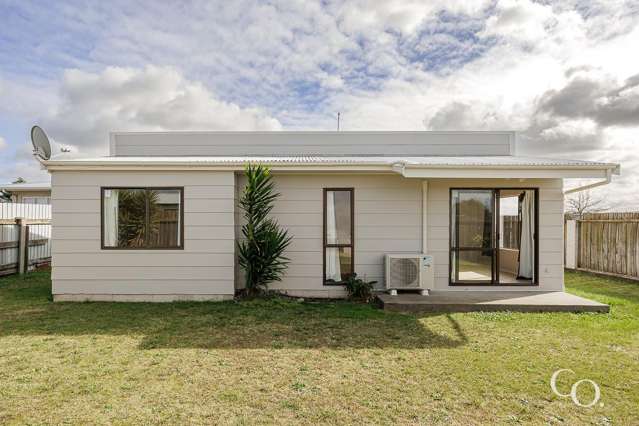 87A Tarbet Street Flaxmere_2