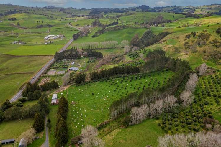 548B Waihi Whangamata Road Waihi_7