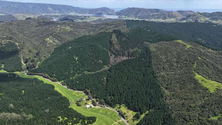 Puhata Road Herekino_22