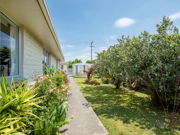 11 March Street Spring Creek_14