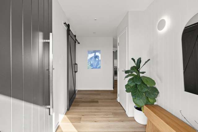 39 George Street Bulls_2