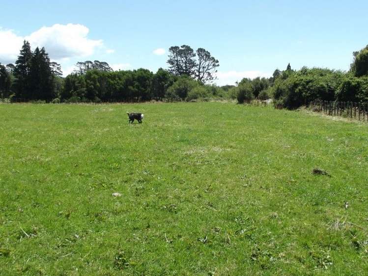 3082 Mountain Road Midhirst_13