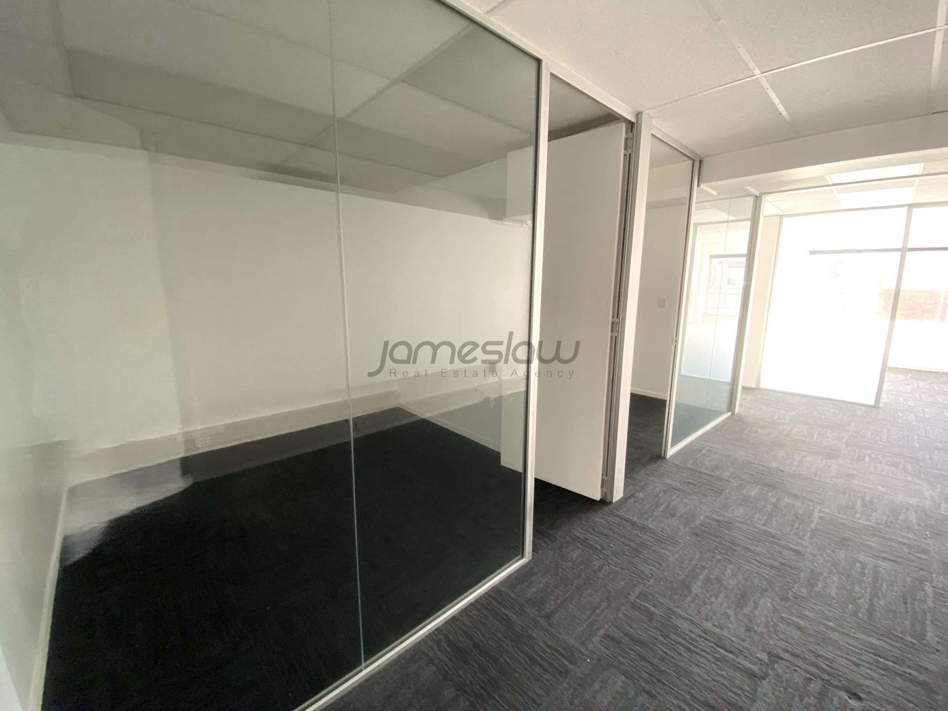 Level 1 - Tenancy B/272 Parnell Road Parnell_0