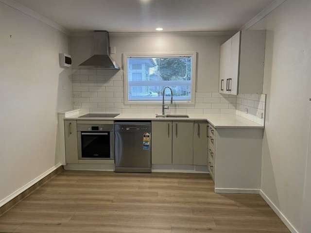 B/18 Wilton Street Levin_2
