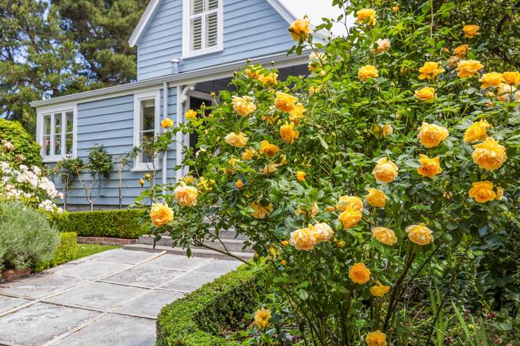 211 Summerhill Road Cust_36