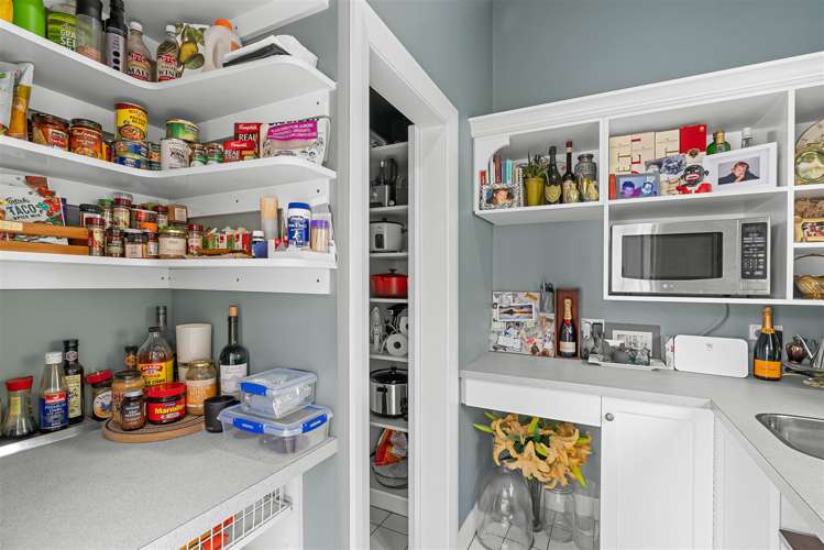 33b Aynsley Terrace Hillsborough_10