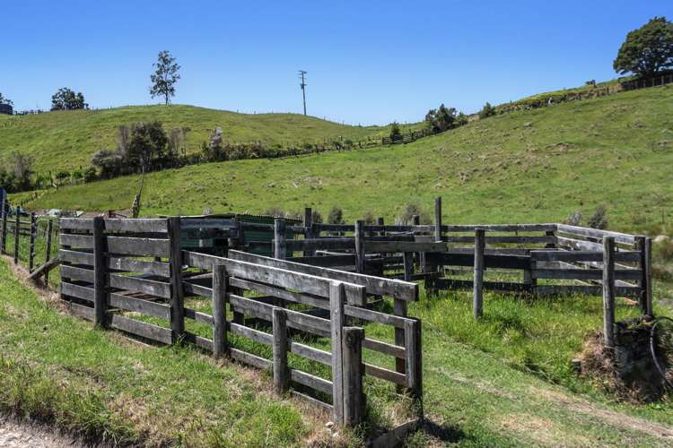 181d McCoy Road Wainui_25