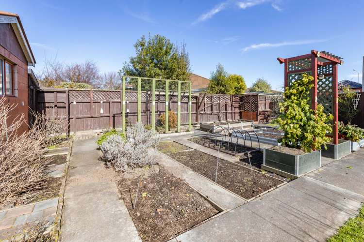 95 Momorangi Crescent Redwood_16