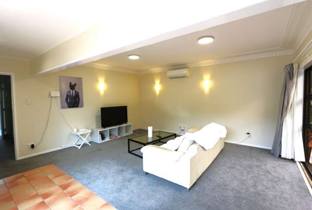 16 Fairleigh Ave Mount Albert_3