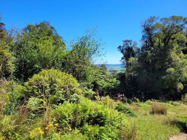 254 Doughboy Road Kokatahi_53