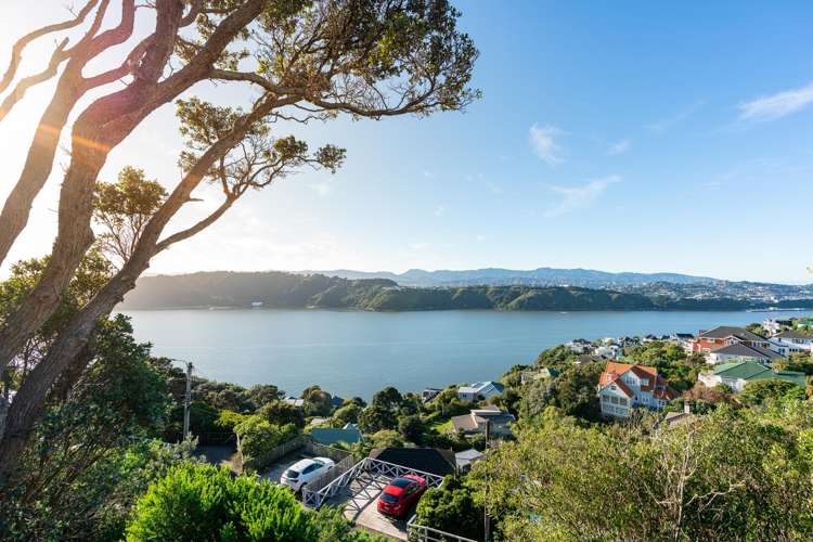 154 Grafton Road Roseneath_23