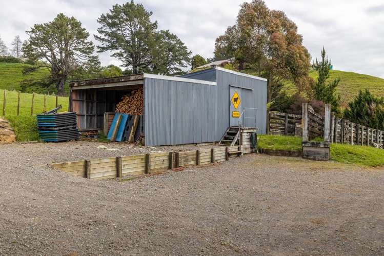 79 Dorset Road Hillsborough_32