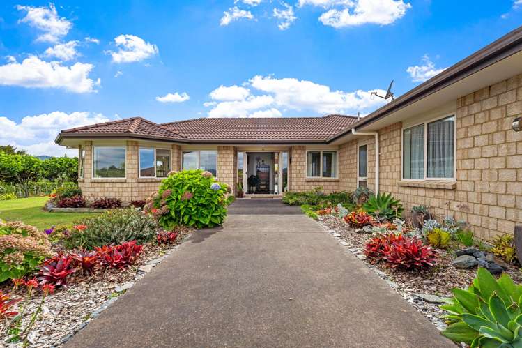 56 Viv Davie-Martin Drive Warkworth_7