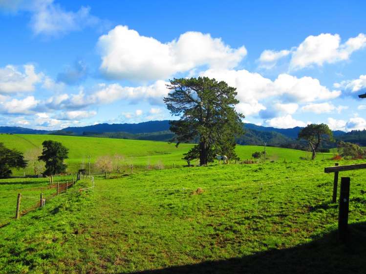 559 Kaiaua Road Mangatangi_22