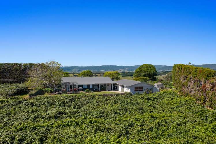 494 Paerata Ridge Road Opotiki and Surrounds_21