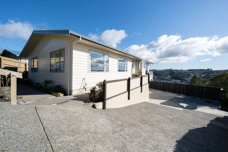 43 Chapman Street Johnsonville_20