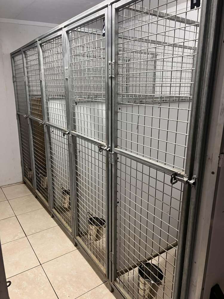 128 Mako Mako Road Levin_27