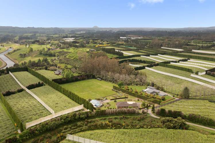 96b Jensen Road Kaimai_43