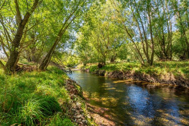 812 Hakataramea Valley Road Kurow_24