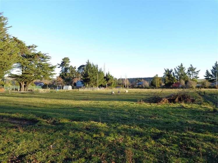 238 Whitecliffs Road Whitecliffs_7