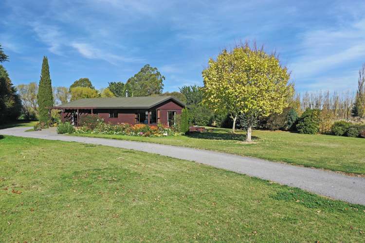 57 David Street Hinds_25