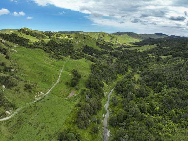 851 Awamate Road Frasertown_4