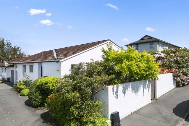 97 Newington Avenue Maori Hill_3