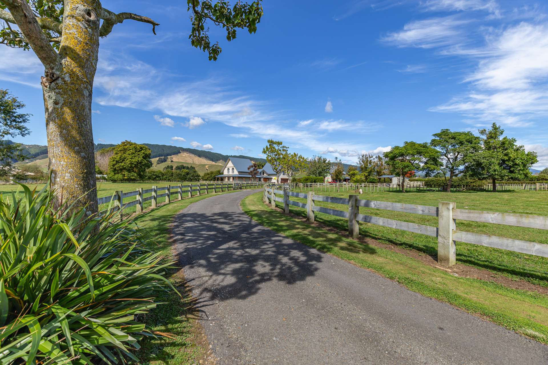 100 Waihou Road Levin_0