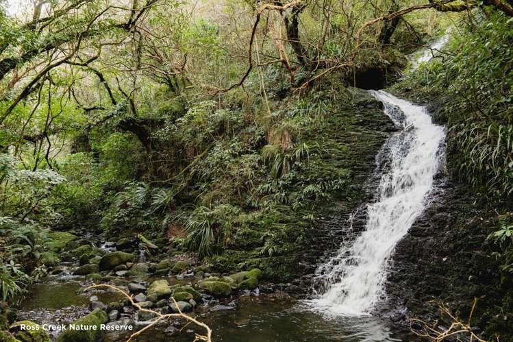 720 Highgate Maori Hill_17