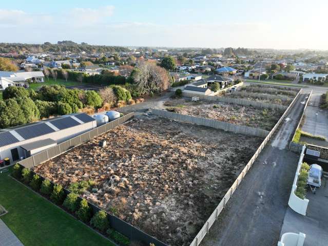 773d Queens Drive Waikiwi_1