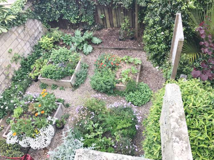 3/21 Saltburn Road Milford_16